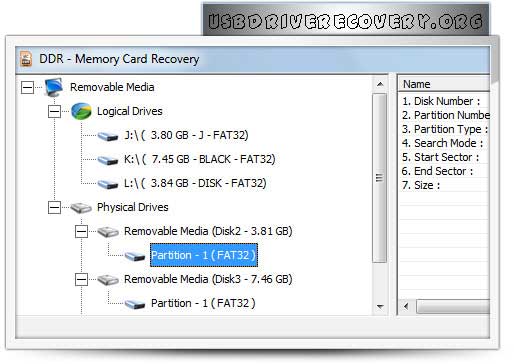 Screenshot of Memory Card Files Salvage Software
