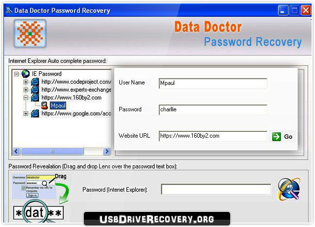 Internet Explorer Password Recovery Software