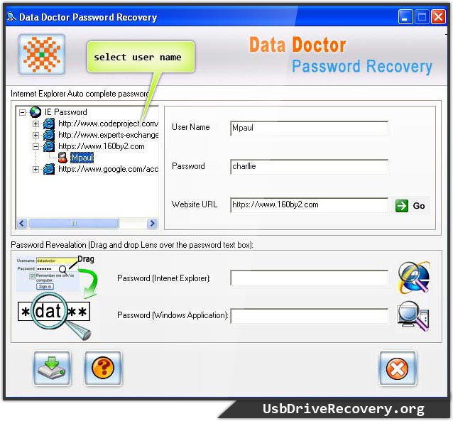 Internet explorer password recovery software 